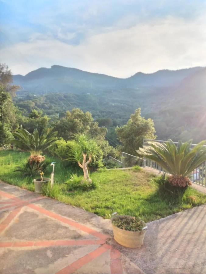 Holiday Apartment Villa Camilla Cefalù Extérieur photo